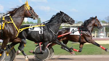 bangor horse racing results|Watch Harness Racing & Replays .